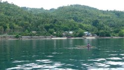 Unterwasserfotos Tauchbilder Tauchen Apo Island Moalboal / Cebu / Philippinen