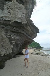 Unterwasserfotos Tauchbilder Tauchen Apo Island Moalboal / Cebu / Philippinen