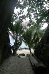 Unterwasserfotos Tauchbilder Tauchen Apo Island Moalboal / Cebu / Philippinen