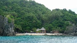 Unterwasserfotos Tauchbilder Tauchen Apo Island Moalboal / Cebu / Philippinen