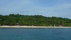 Unterwasserfotos Tauchbilder Tauchen Apo Island Moalboal / Cebu / Philippinen