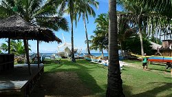 Unterwasserfotos Tauchbilder Tauchen Apo Island Moalboal / Cebu / Philippinen