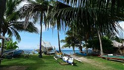 Unterwasserfotos Tauchbilder Tauchen Apo Island Moalboal / Cebu / Philippinen