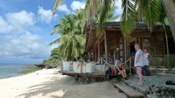 Unterwasserfotos Tauchbilder Tauchen Apo Island Moalboal / Cebu / Philippinen