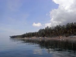 Unterwasserfotos Tauchbilder Tauchen Camiguin / Mindanao  Philippinen