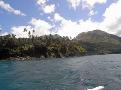 Unterwasserfotos Tauchbilder Tauchen Camiguin / Mindanao  Philippinen