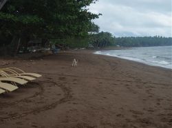Mactan (Cebu), Negros, Pangalo (Bohol), Camiguin, Mindanao