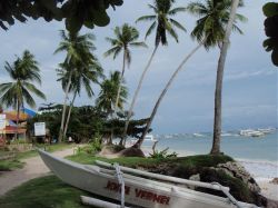 Mactan (Cebu), Negros, Pangalo (Bohol), Camiguin, Mindanao
