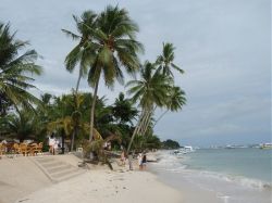 Mactan (Cebu), Negros, Pangalo (Bohol), Camiguin, Mindanao