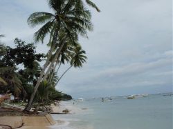 Mactan (Cebu), Negros, Pangalo (Bohol), Camiguin, Mindanao