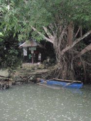 Mactan (Cebu), Negros, Pangalo (Bohol), Camiguin, Mindanao