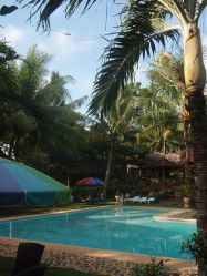 Mactan (Cebu), Negros, Pangalo (Bohol), Camiguin, Mindanao