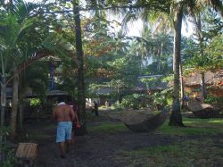 Mactan (Cebu), Negros, Pangalo (Bohol), Camiguin, Mindanao