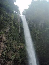 Mactan (Cebu), Negros, Pangalo (Bohol), Camiguin, Mindanao