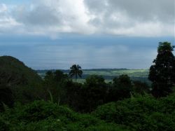 Mactan (Cebu), Negros, Pangalo (Bohol), Camiguin, Mindanao
