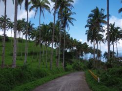 Mactan (Cebu), Negros, Pangalo (Bohol), Camiguin, Mindanao