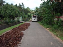 Mactan (Cebu), Negros, Pangalo (Bohol), Camiguin, Mindanao