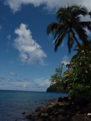Mactan (Cebu), Negros, Pangalo (Bohol), Camiguin, Mindanao