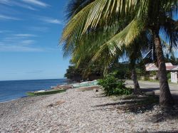 Mactan (Cebu), Negros, Pangalo (Bohol), Camiguin, Mindanao