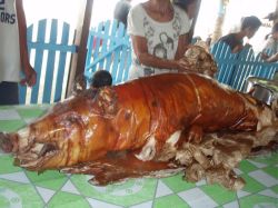 Mactan (Cebu), Negros, Pangalo (Bohol), Camiguin, Mindanao