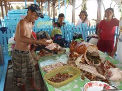 Mactan (Cebu), Negros, Pangalo (Bohol), Camiguin, Mindanao