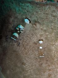 Unterwasserbilder Tauchfotos Tauchen auf  Panglao Island / Bohol / / Philippinen