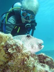 Unterwasserfotos Tauchbilder Tauchen Rotes Meer Port Ghalib (Marsa Alam) Resta Grand Resort / Matthes Reef Divers 