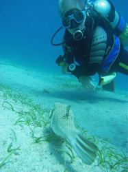 Unterwasserfotos Tauchbilder Tauchen Rotes Meer Port Ghalib (Marsa Alam) Resta Grand Resort / Matthes Reef Divers 