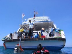Unterwasserfotos Tauchbilder Tauchen Rotes Meer Port Ghalib (Marsa Alam) Resta Grand Resort / Matthes Reef Divers 
