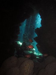 Unterwasserfotos Tauchbilder Tauchen Rotes Meer Port Ghalib (Marsa Alam) Resta Grand Resort / Matthes Reef Divers 