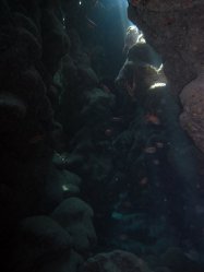 Unterwasserfotos Tauchbilder Tauchen Rotes Meer Port Ghalib (Marsa Alam) Resta Grand Resort / Matthes Reef Divers 