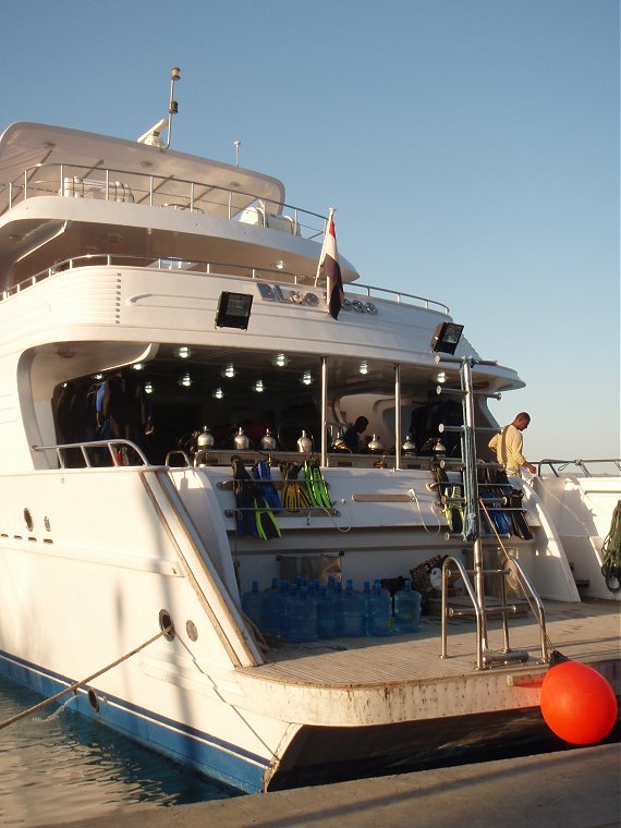 Tauchen Rotes Meer Mai 2010 MY Blue Seas Blue Planet Liveaboards