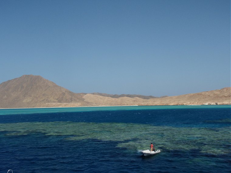 Tauchen Rotes Meer Mai 2010 MY Blue Seas Blue Planet Liveaboards