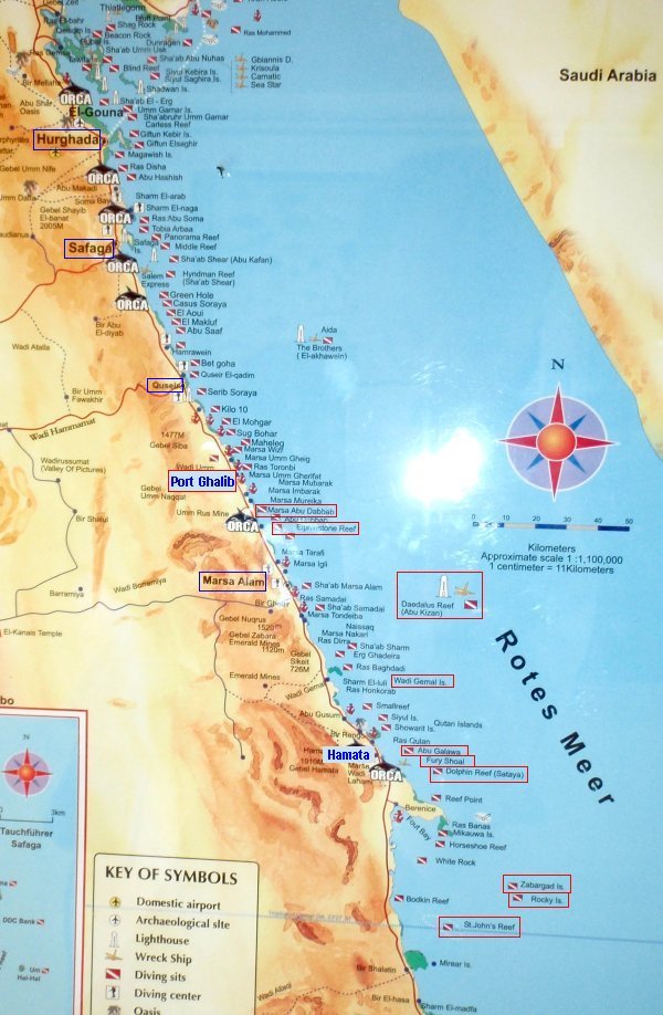 Tauchen Rotes Meer Mai 2010 MY Blue Seas Blue Planet Liveaboards