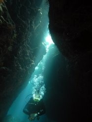 Unterwasserfotos Tauchbilder Tauchen Rotes Meer Mai 2010 MY Blue Seas Blue Planet Liveaboards