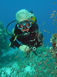 Unterwasserfotos Tauchbilder  Sinai Divers