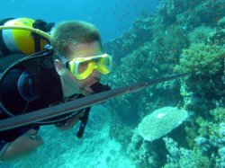 Unterwasserfotos Tauchbilder  Sinai Divers