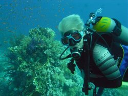 Unterwasserfotos Tauchbilder  Sinai Divers