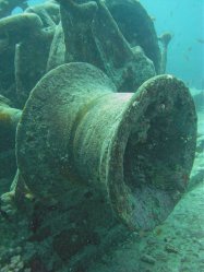 Unterwasserfotos Tauchbilder  Sinai Divers