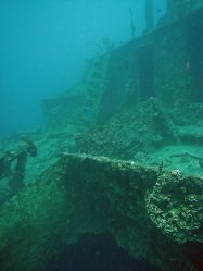Unterwasserfotos Tauchbilder  Sinai Divers