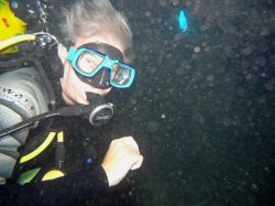 Unterwasserfotos Tauchbilder  Sinai Divers