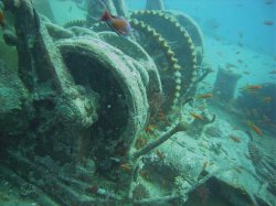 Unterwasserfotos Tauchbilder  Sinai Divers