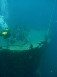 Unterwasserfotos Tauchbilder  Sinai Divers
