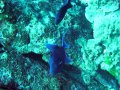 Unterwasserbilder Foto