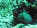 Unterwasserbilder Foto