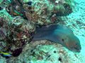 Unterwasserbilder Foto