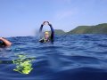 Unterwasserbilder Foto