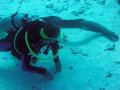 Unterwasserbilder Foto