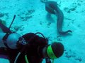 Unterwasserbilder Foto