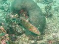 Unterwasserbilder Foto